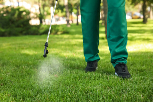 Professional Pest Control in West Sharyland, TX